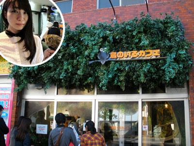 Wah, Burung Hantu Jadi Trend Baru Restoran di Jepang?